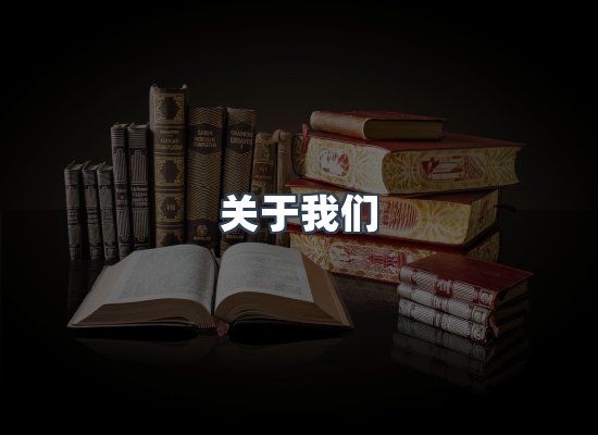 关于我们